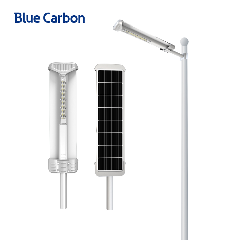 Blue Carbon Integrated Solar Garden Light | BCT-OLF-25W