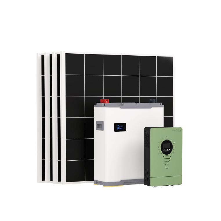 Blue Carbon 4kW Inverter BOX | BCT-B6-V24-200(LFP)