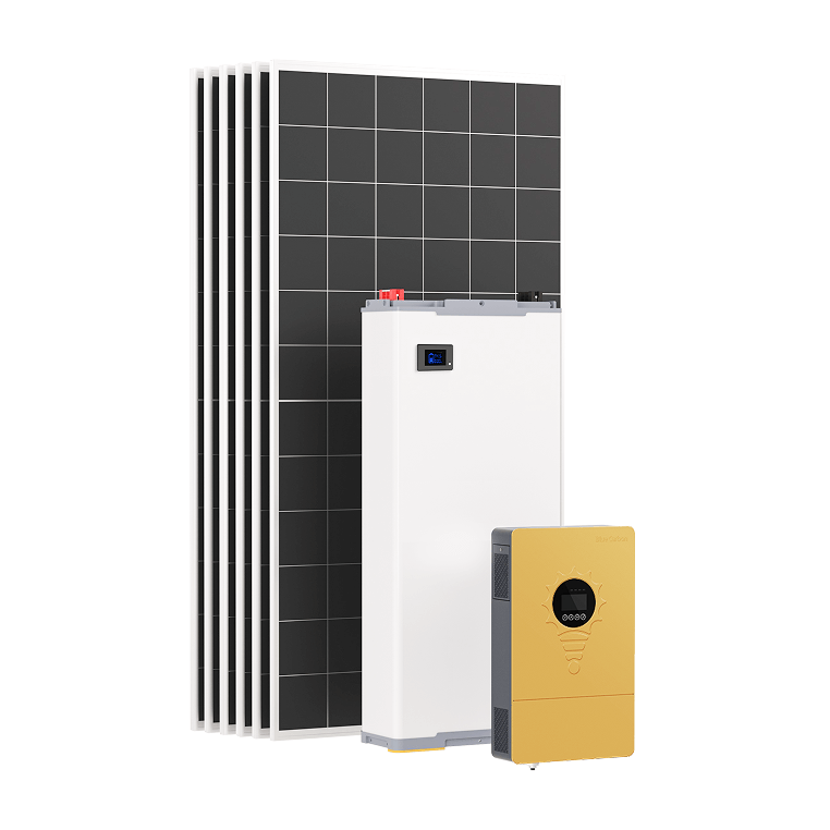 Blue Carbon 6kW Inverter BOX | BCT-B6-V48-200(LFP)